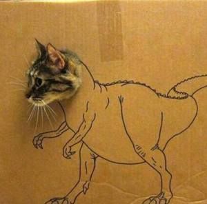 Meet your Posher, Rex